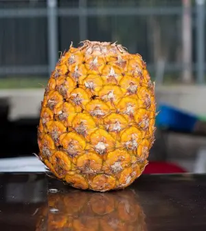 Nanas Madu