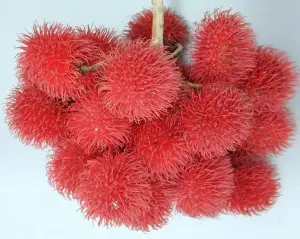 Rambutan Binjai