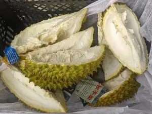 Durian Montong