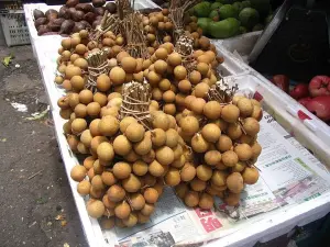 Kelengkeng Pingpong