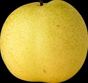 Pir Ya Pear