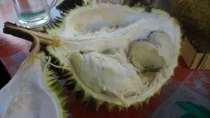 Durian Bawor (Pre-order)
