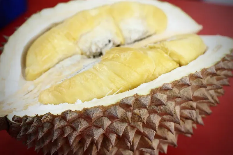 Durian Musang King Malaysia