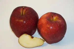 Apel Red Delicious Washington