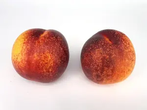 Nectarine