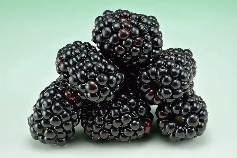 Blackberry