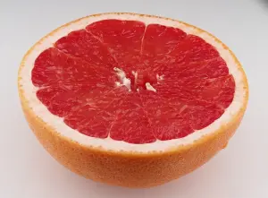 Grapefruit Ruby