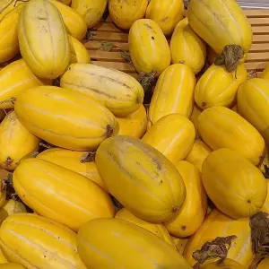 Melon Korea Chamoe