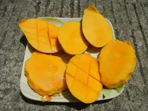 Mangga Beku Potong