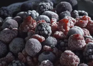 Mixed Berries Beku