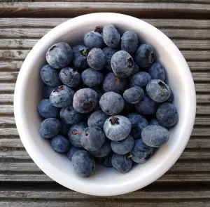 Blueberry Beku