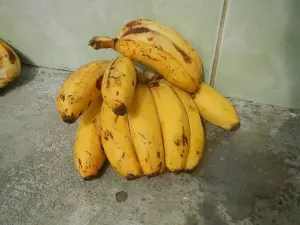 Pisang Raja