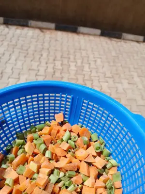 Mixed Vegetables Beku