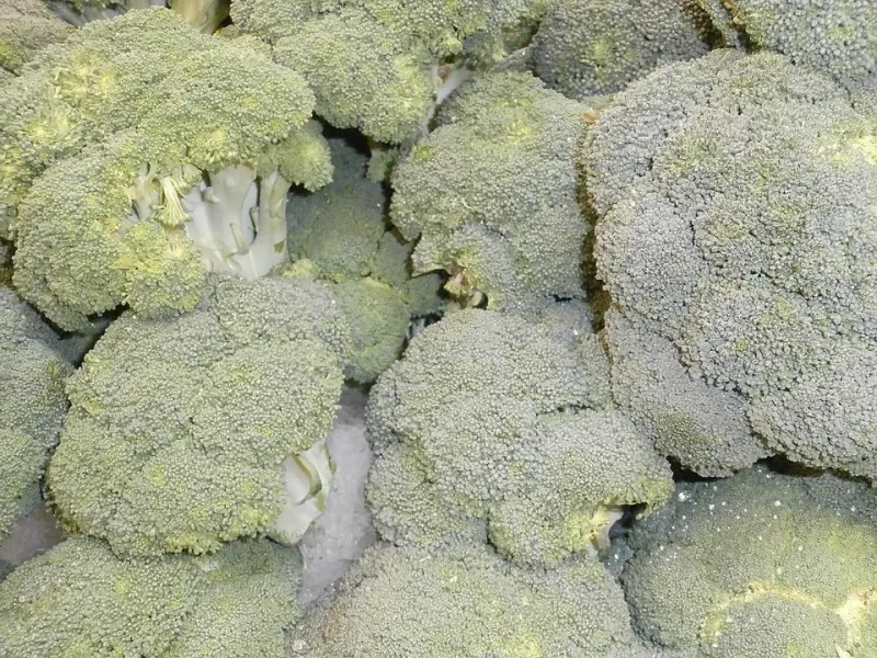 Brokoli Beku Floret